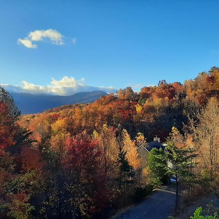 3 Decks, Mtn Views! Tree Tops By Honeybearcabins - Luxury Rain Showers, 3 King Suites, Xl Hottub, Fireplace, Bear Sightings 蓋特林堡 外观 照片